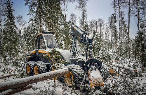 Заготовка древесины в Кировской области