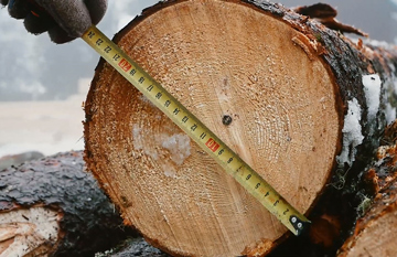 Замер диаметра древесины