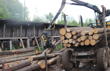Перемещение сортированной древесины на склад
